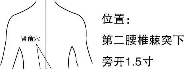 「预防与调养」久卧伤气、久坐伤肉、久立伤骨、久行伤筋怎么办？五劳调理很重要