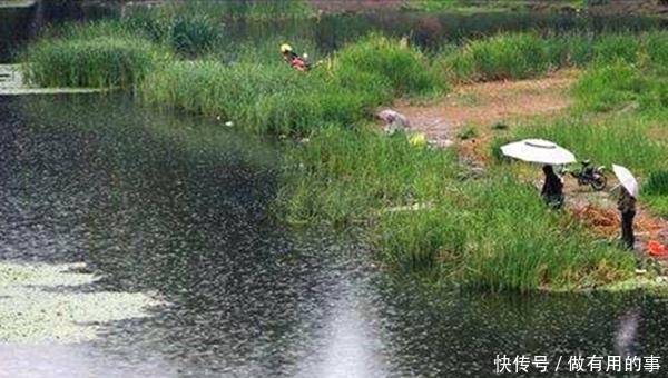  水中溶氧■春钓烟雨雾，夏钓风雨天，到了夏季，钓鱼要选择这些天气！