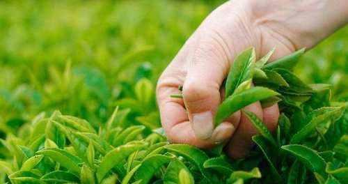 中国到处都是的东西，到巴基斯坦变“奢侈品”，巴铁：老铁真有钱