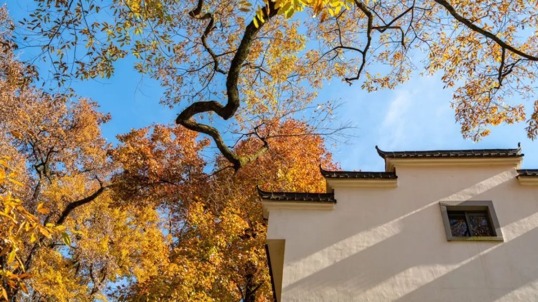 10个藏在深山人不知的古村落，却是世外桃源