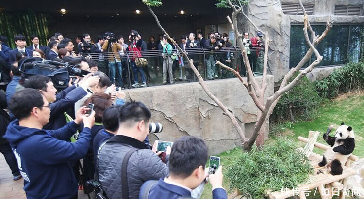 当年大地震,此国向中国捐款最多,如今中国的女游客却不敢去?