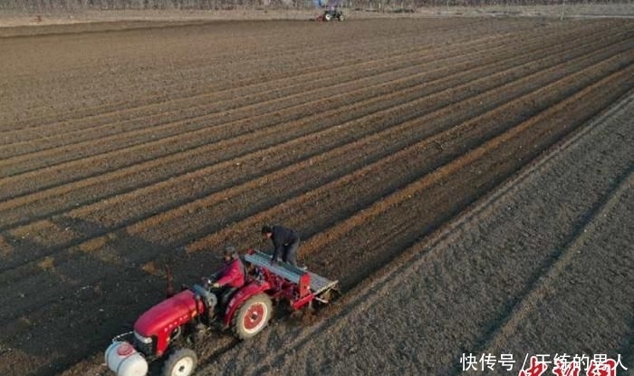  [牛春富]河北种粮大户的春耕：不离乡土 种粮“生金”