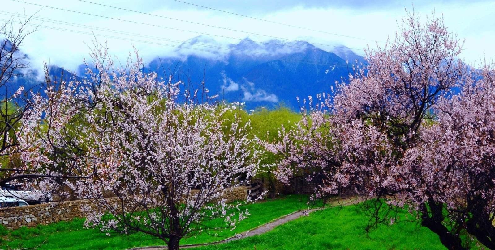 想要一个人去旅行，推荐你去这些地方，真的挺不错的