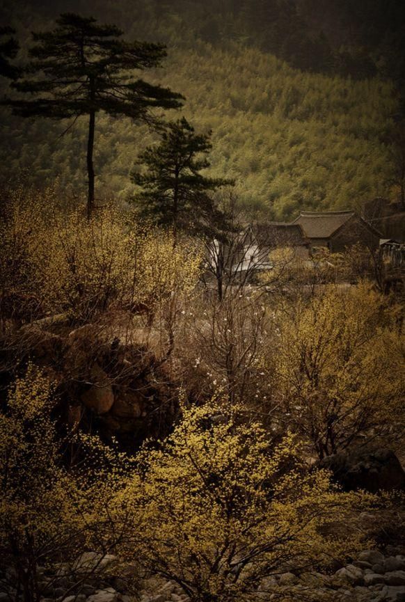 河南这个遗落在深山峡谷中的村落，古朴幽静像世外仙境