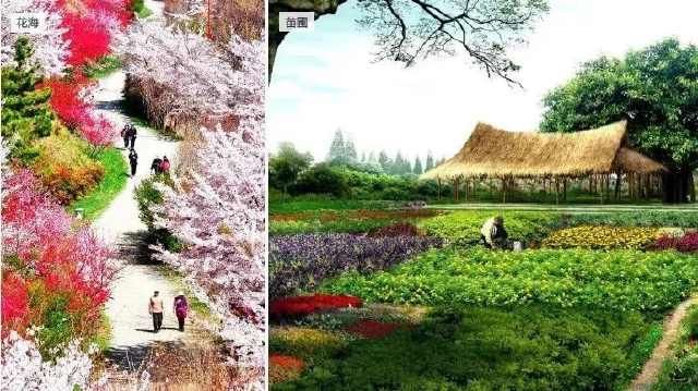  梨花■「清明节」梨花风起正清明，游子寻春半出城
