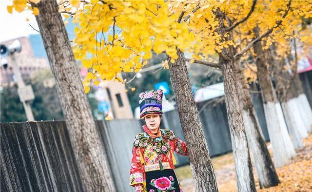 最新！绵阳银杏地图发布 这个冬季一起去“金色海洋”打个卡！