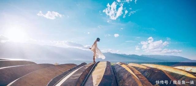 『资格都没』人生很苦,但我们可以选择用这样的方式,让它看起来很甜