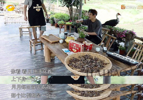 个子矮+腿又粗，到底应该穿什么？