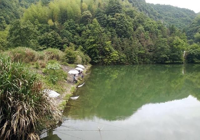  牢记■钓鱼不牢记这几点，就是神仙来了也钓不到