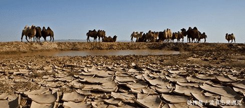 厄尔尼诺引发印度“死亡高温”，以为40度就叫热来看看印度吧