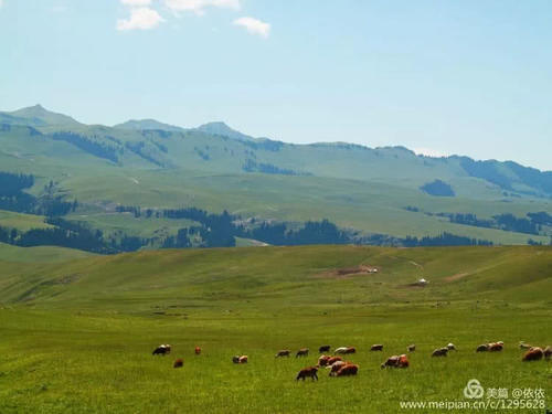 醉在托乎拉苏草原上