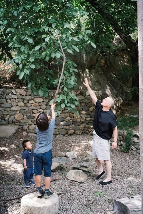 空置25年的农舍里 这个歪果仁怎么从预算不够到过上理想生活