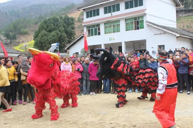  【马村贡米】走进青川县建峰镇
