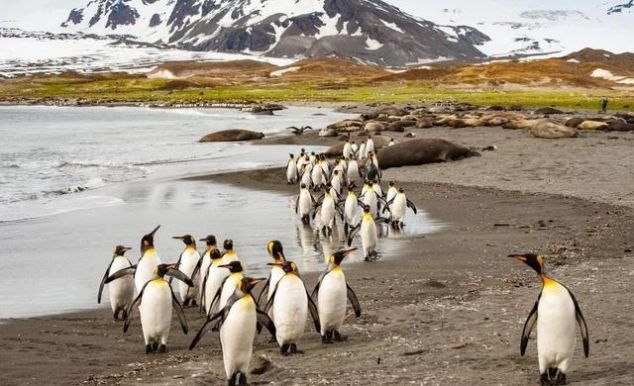 2019年最新免签名单｜中国国籍可免签去125个国家了