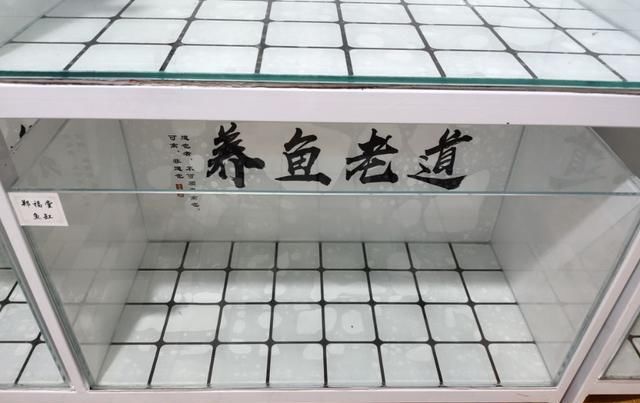  【鱼缸】打造一个近似完美的孔雀鱼空气缸，需要花多少钱，如何养成？