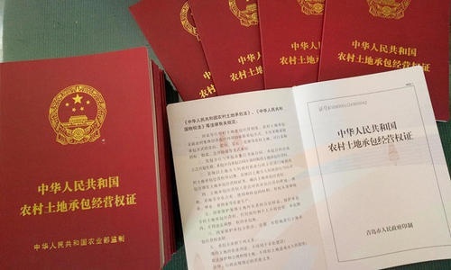  「确权」2020年土地确权收尾了，这3件事情要及时办理，后期就是