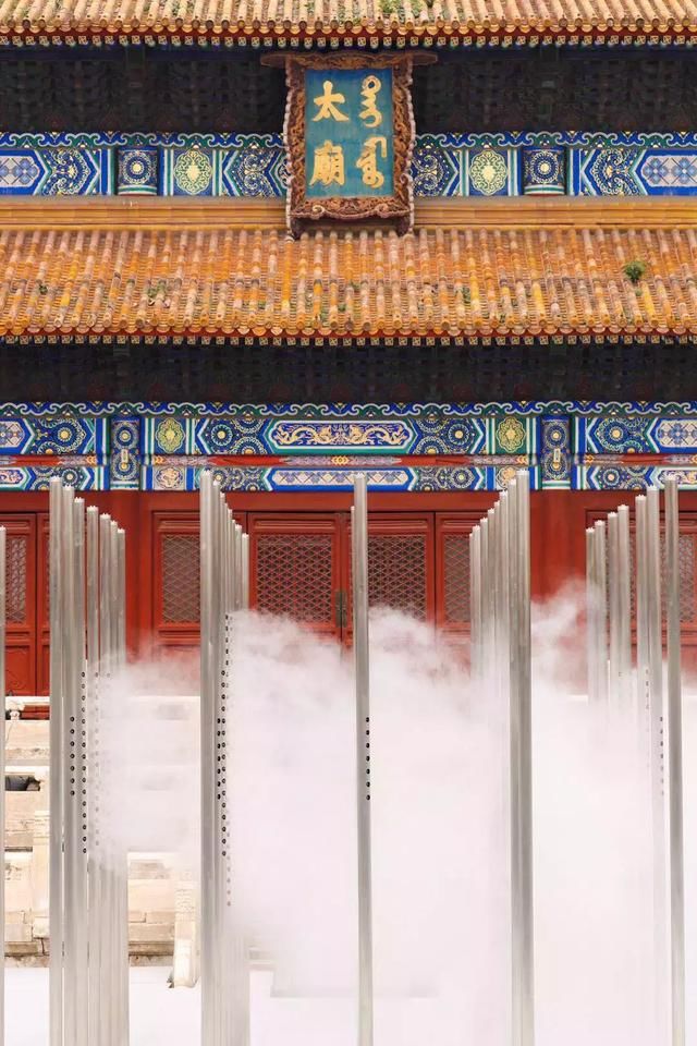 从“爸妈牌”到“刘雯”最爱，不设限就有万般可能