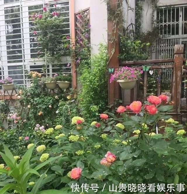 「平方」有了30平方的小院,能将日子过成了诗?简单而精致,优雅而从容!