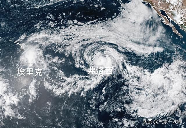 罕见！“双台风”加“双飓风”，今年太平洋首轮“四大风暴”共舞