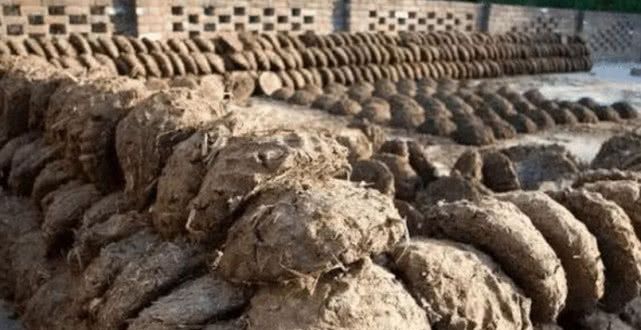 印度“牛粪”公交车，一毛钱一次！印度：领先中国20年