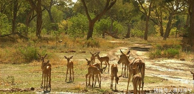 英国贵妇来中国旅游，刚下飞机就不可置信糟了，不会买错机票吧