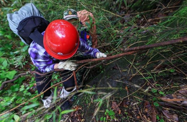 告诉你一个事实千万不要惊讶 距离成都百公里有个“非洲丛林”！