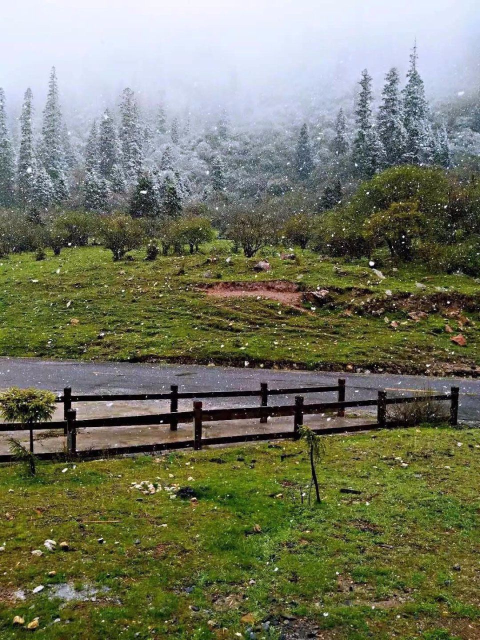 你在北方热浪里举步维艰，四川的这个地方却大雪纷飞
