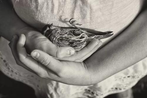 佳作欣赏|黑白画面的自由活力 无忧无虑的童年时光