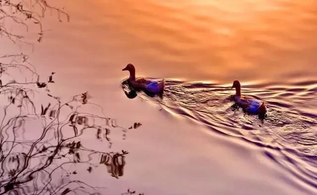 江南最美的10个秋色