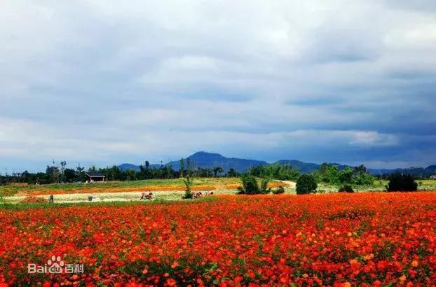 为家乡打call！四川新增21个4A景区，个个美翻！