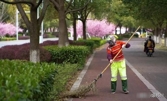  [眼中]还是那个熟悉的味道，那个熟悉的人，他们回来了#我眼中的春天#