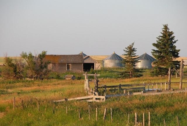 4个农村致富小项目，别看不起眼，有人已经赚了“一桶金”