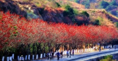  「城市」四川最适合居住的城市，山清水秀花红柳绿，不是成都而是它