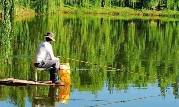  「实用」夏季钓鱼谚语，非常经典实用