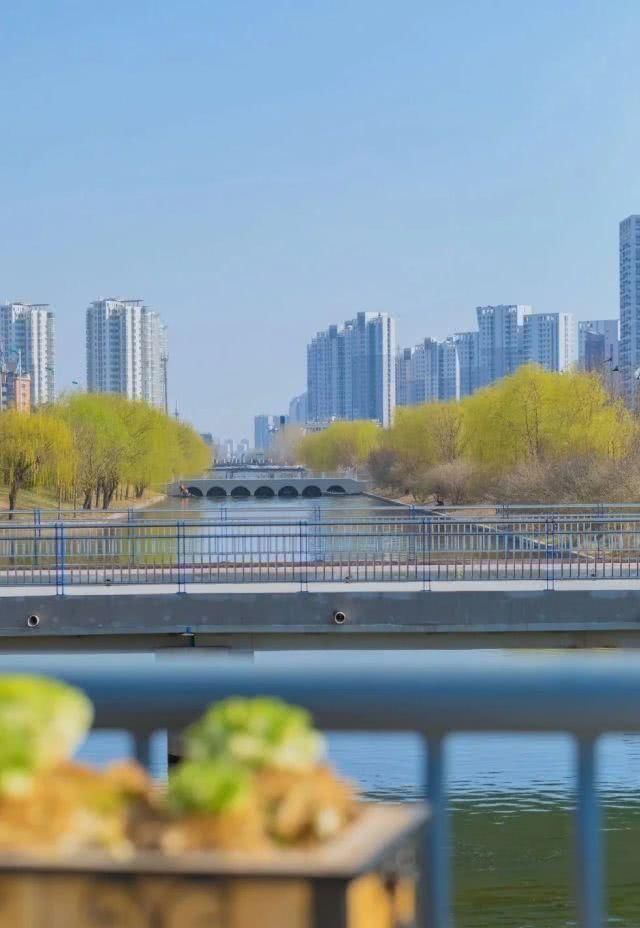  「重启」不能重启的2020，接下来的日子在天津要这样过！