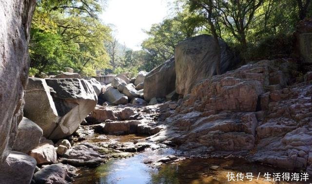  [恭喜]恭喜山东此县走运了，被77km高东高速选中并过境，将脱贫