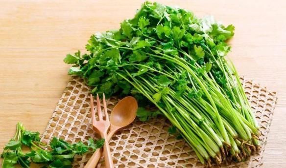 必选■阳台种上“4种菜”,长得快结果多,吃了一茬又一茬,懒人必选