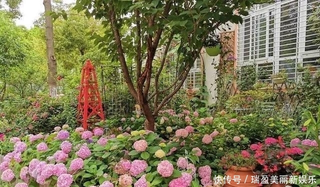  「平方」有了30平方的小院，能将日子过成了诗？简单而精致，优雅而从容！