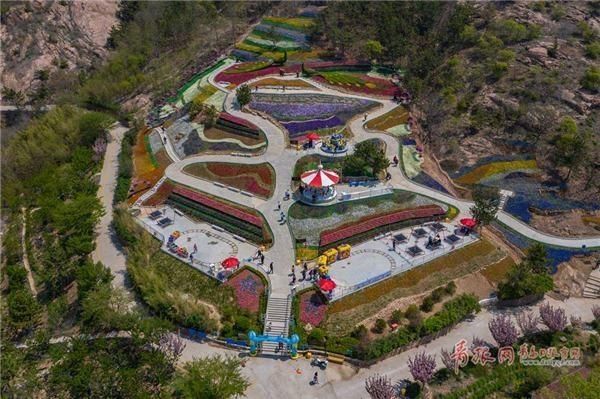  『枯桃花艺生态园』缤纷花海免费游！第三届青岛花卉博览会开幕