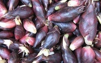  #农民#农民五年前无意间开始种它，如今靠它年赚二十万