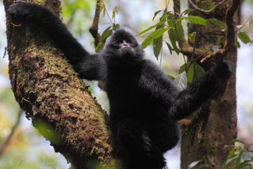 云南最美的5个景区，一片原始的自然风光，引无数游客慕名前来！