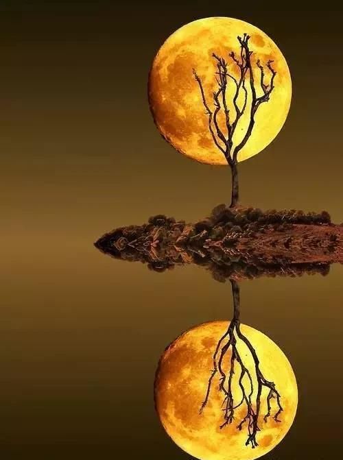 壮美了！发给大家欣赏！