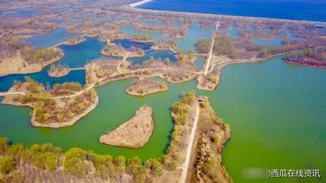  泉城：济西国家湿地公园“山东最美公园”，泉城济南的新名片
