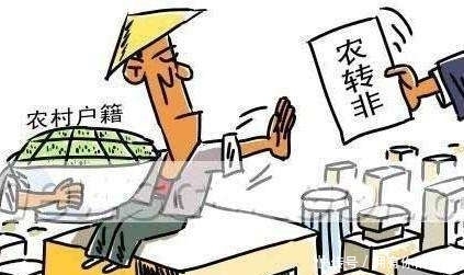 8月份，农村有3种“行为”，找村支书也办不了，农民早做打算