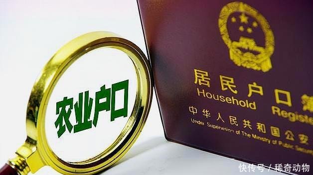 父母是农村户口，儿女是城镇户口，土地房屋该如何确权