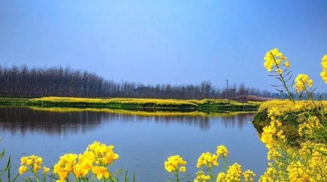  『饥饿』那一年，我们追赶油菜花