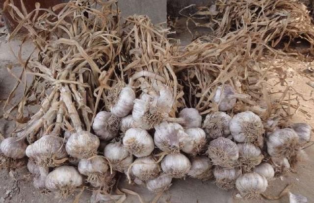 女人脸上长了“斑点”不要慌,教你1个小妙方,淡化斑点白嫩肌肤