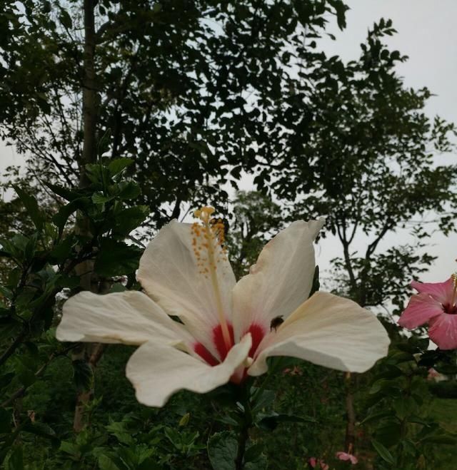  「鱼悦」雾里看花钓鱼忙，东风鱼儿把口开，鱼悦的一天