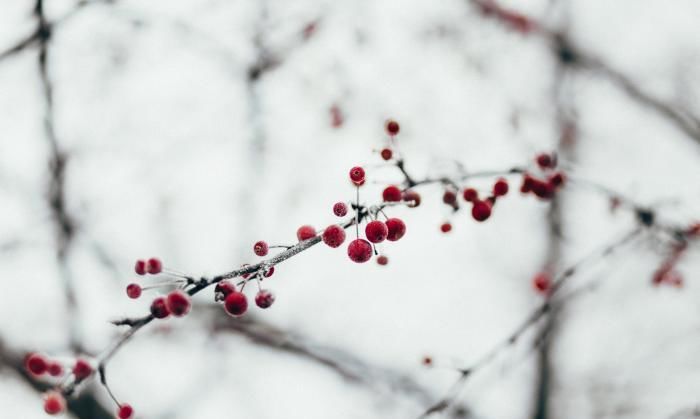 冬天雪景照片，咋拍好看？咋构图咋修图？这4个摄影技巧帮你