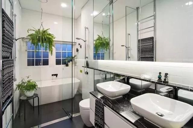  『观叶』这几种观叶植物很适合养在卫生间里，能净化空气、吸收异味